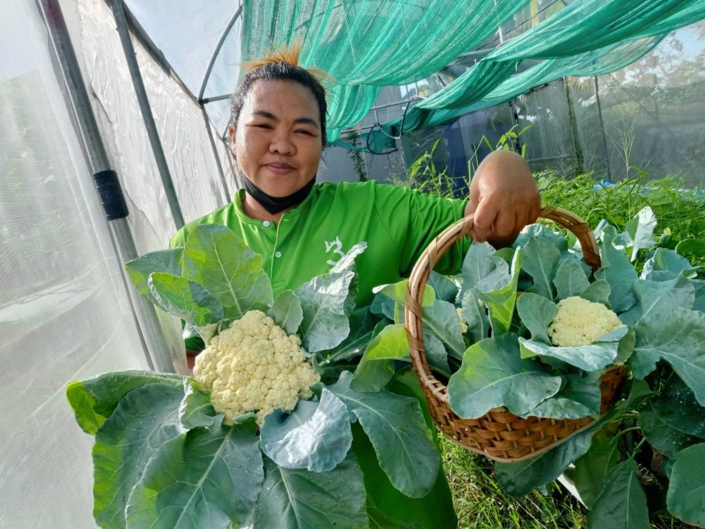 ผักสด Organic