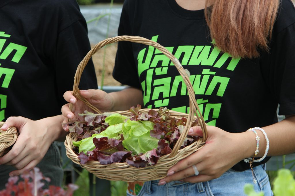 ผักสด Organic