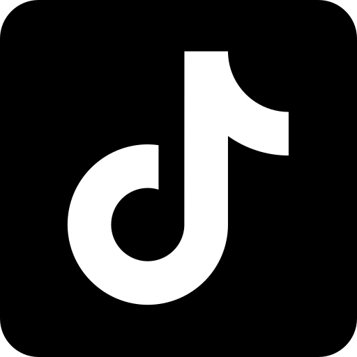 TikTok Icon