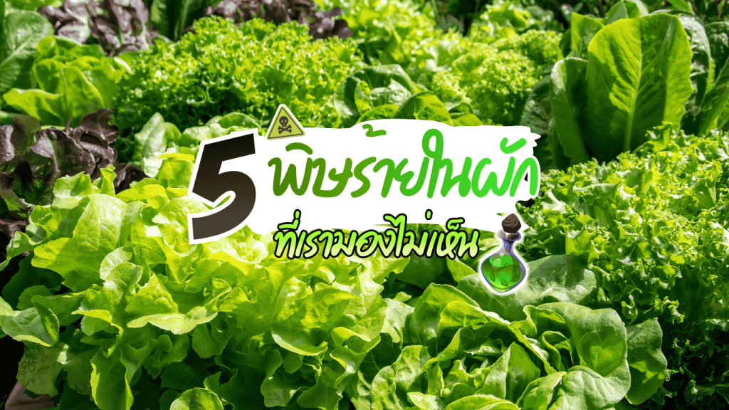 อาหารจัดเลี้ยงปลอดภัยจาก 3minutesfood