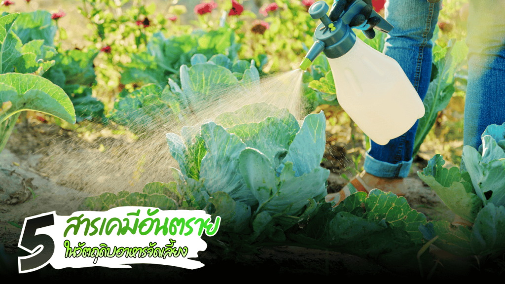 5 สารเคมีอันตรายในวัตถุดิบอาหารจัดเลี้ยง