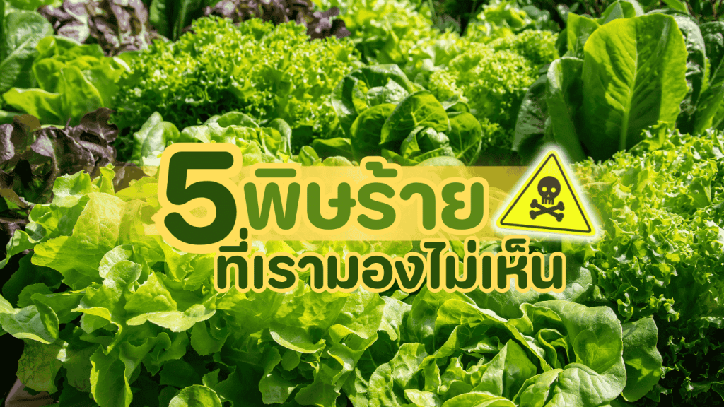 อาหารจัดเลี้ยงปลอดภัยจาก 3minutesfood